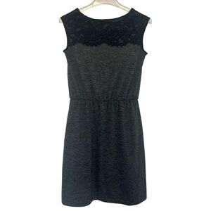 LOFT Mini Dress with Lace Detail